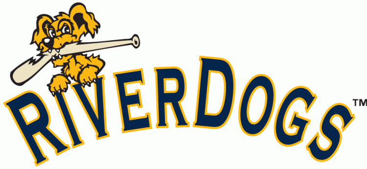 Charleston Riverdogs 2011-2015 Wordmark Logo vinyl decal